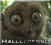 images/avatars/avatar-1333.gif